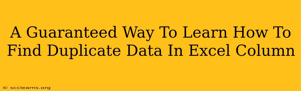 A Guaranteed Way To Learn How To Find Duplicate Data In Excel Column