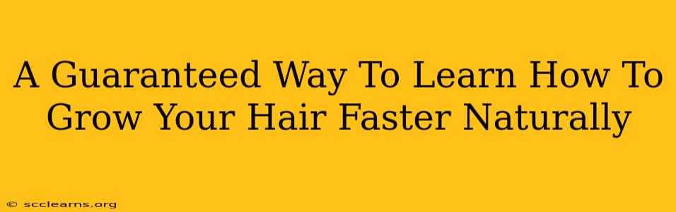 A Guaranteed Way To Learn How To Grow Your Hair Faster Naturally