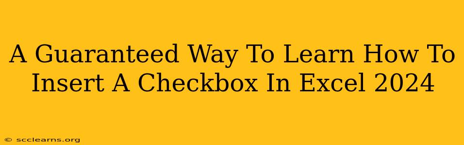 A Guaranteed Way To Learn How To Insert A Checkbox In Excel 2024