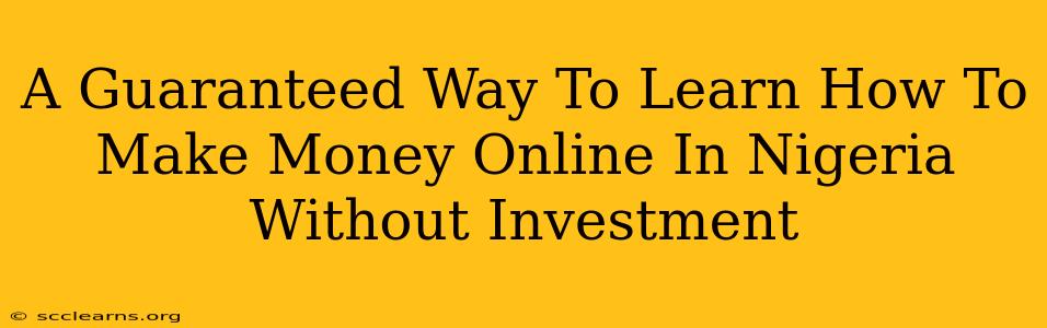 A Guaranteed Way To Learn How To Make Money Online In Nigeria Without Investment