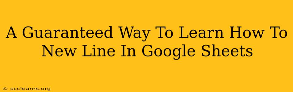 A Guaranteed Way To Learn How To New Line In Google Sheets