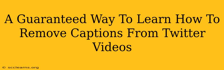 A Guaranteed Way To Learn How To Remove Captions From Twitter Videos