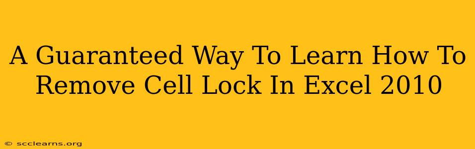 A Guaranteed Way To Learn How To Remove Cell Lock In Excel 2010