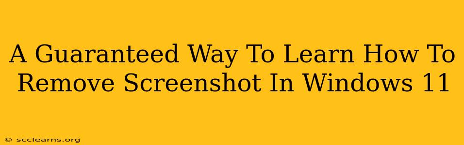 A Guaranteed Way To Learn How To Remove Screenshot In Windows 11