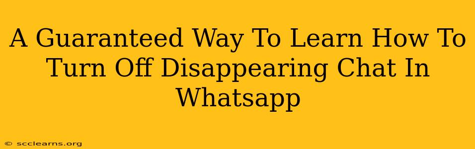 A Guaranteed Way To Learn How To Turn Off Disappearing Chat In Whatsapp