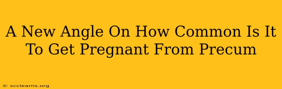 A New Angle On How Common Is It To Get Pregnant From Precum