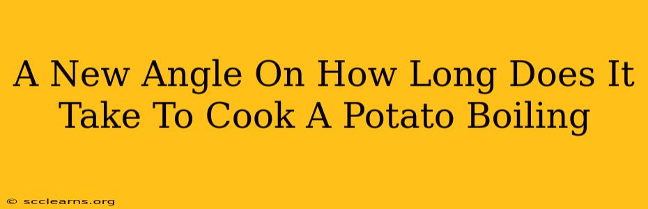 A New Angle On How Long Does It Take To Cook A Potato Boiling