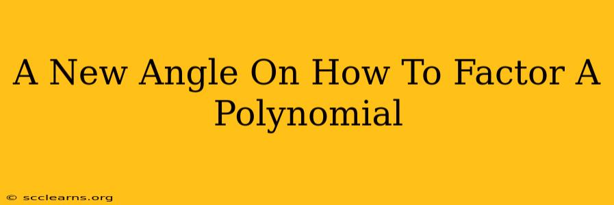 A New Angle On How To Factor A Polynomial