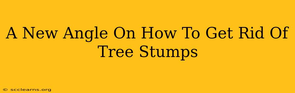 A New Angle On How To Get Rid Of Tree Stumps