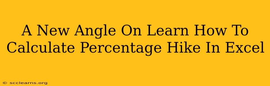 A New Angle On Learn How To Calculate Percentage Hike In Excel