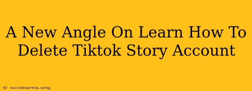 A New Angle On Learn How To Delete Tiktok Story Account