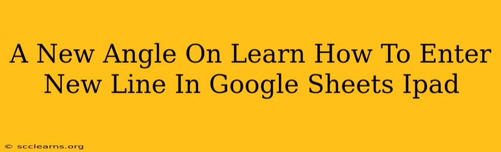 A New Angle On Learn How To Enter New Line In Google Sheets Ipad