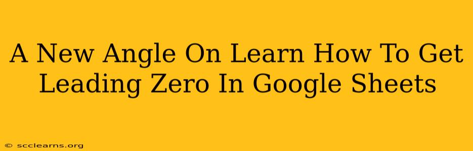 A New Angle On Learn How To Get Leading Zero In Google Sheets