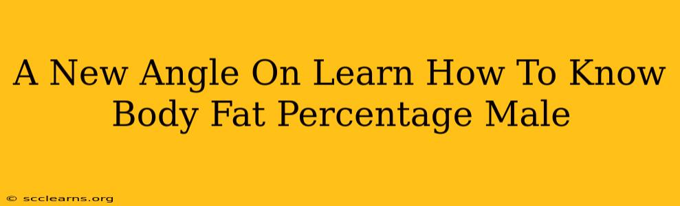 A New Angle On Learn How To Know Body Fat Percentage Male