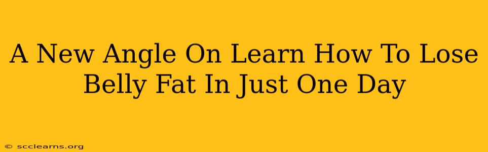 A New Angle On Learn How To Lose Belly Fat In Just One Day