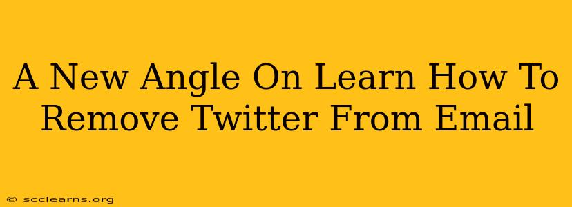 A New Angle On Learn How To Remove Twitter From Email