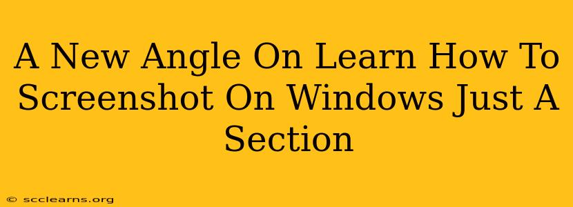 A New Angle On Learn How To Screenshot On Windows Just A Section