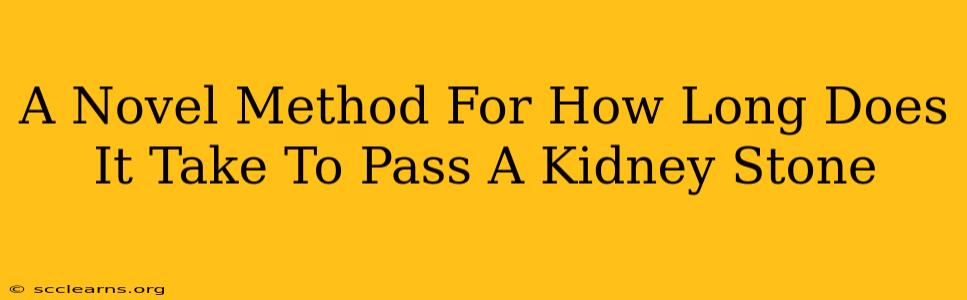 A Novel Method For How Long Does It Take To Pass A Kidney Stone