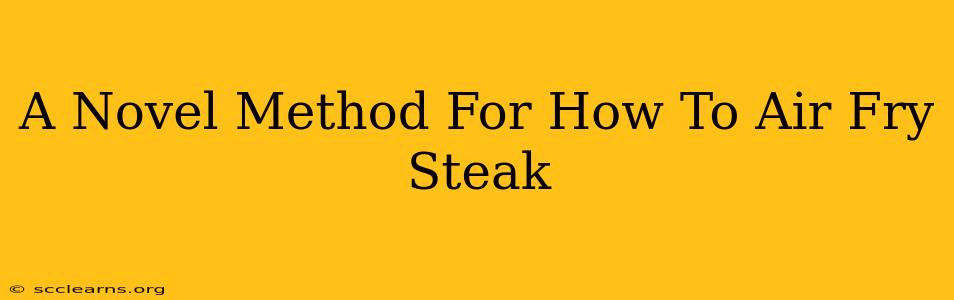 A Novel Method For How To Air Fry Steak