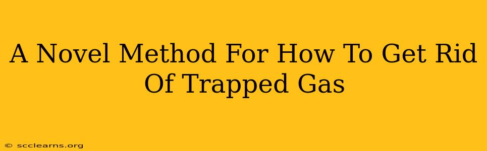 A Novel Method For How To Get Rid Of Trapped Gas