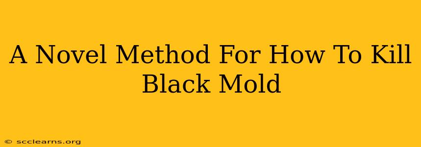 A Novel Method For How To Kill Black Mold