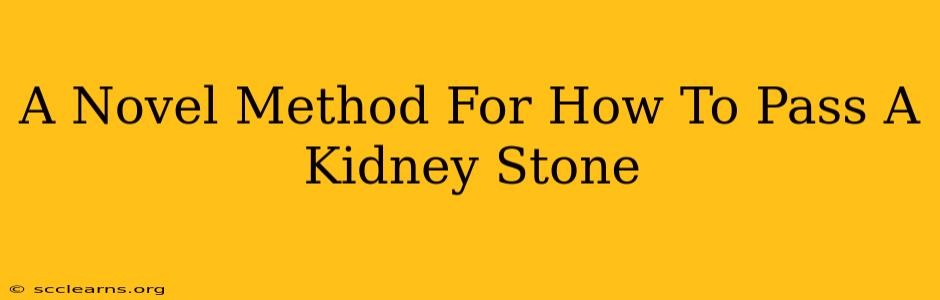 A Novel Method For How To Pass A Kidney Stone