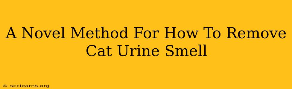 A Novel Method For How To Remove Cat Urine Smell