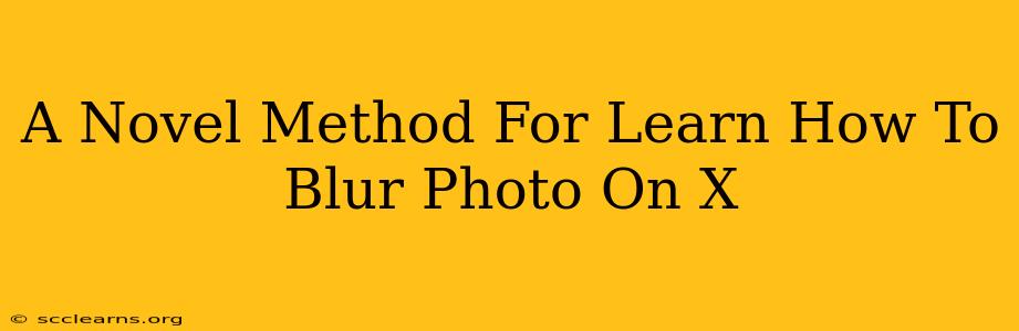 A Novel Method For Learn How To Blur Photo On X