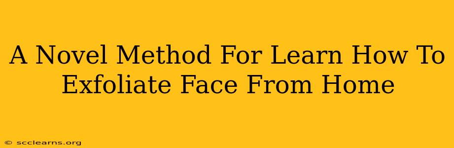 A Novel Method For Learn How To Exfoliate Face From Home