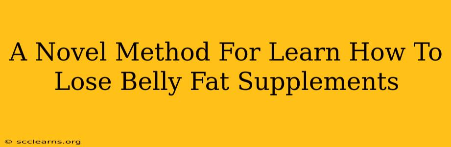 A Novel Method For Learn How To Lose Belly Fat Supplements