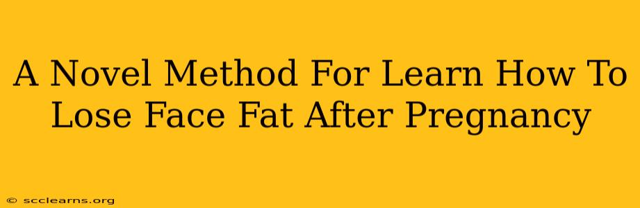 A Novel Method For Learn How To Lose Face Fat After Pregnancy