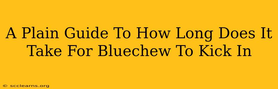 A Plain Guide To How Long Does It Take For Bluechew To Kick In