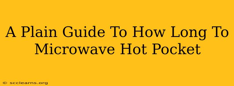 A Plain Guide To How Long To Microwave Hot Pocket