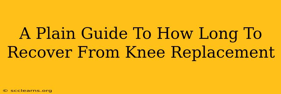 A Plain Guide To How Long To Recover From Knee Replacement