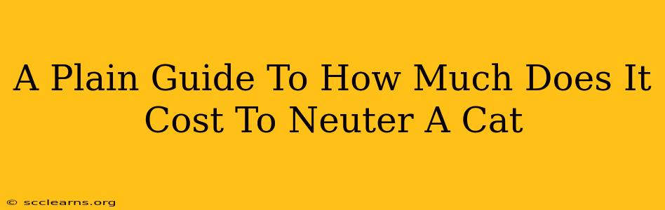 A Plain Guide To How Much Does It Cost To Neuter A Cat