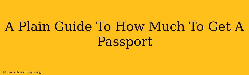 A Plain Guide To How Much To Get A Passport