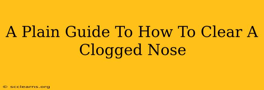 A Plain Guide To How To Clear A Clogged Nose