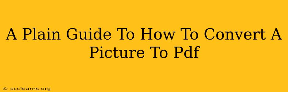 A Plain Guide To How To Convert A Picture To Pdf