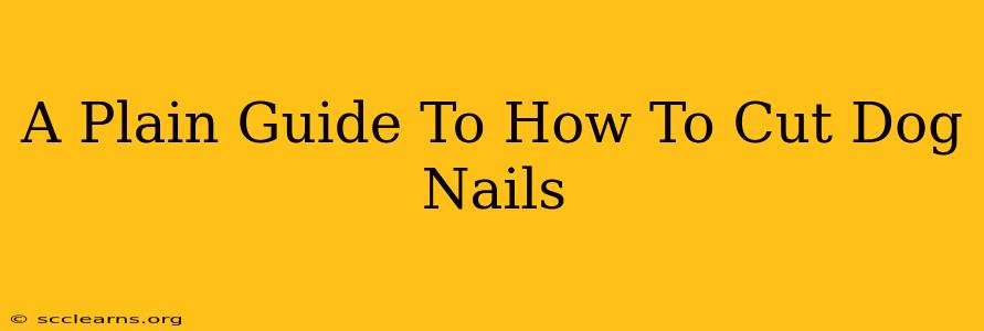 A Plain Guide To How To Cut Dog Nails