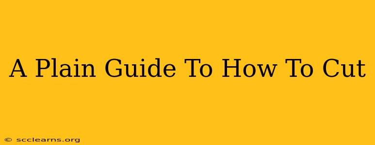 A Plain Guide To How To Cut