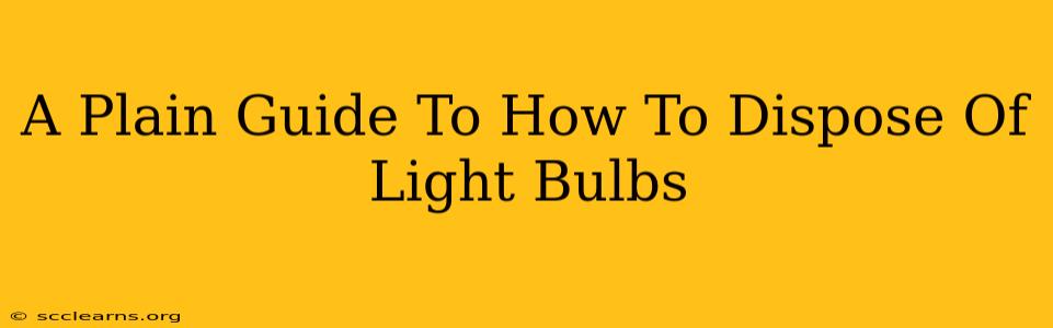 A Plain Guide To How To Dispose Of Light Bulbs