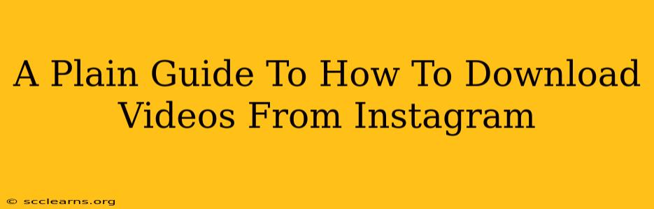 A Plain Guide To How To Download Videos From Instagram