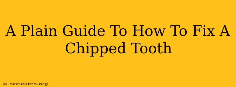 A Plain Guide To How To Fix A Chipped Tooth