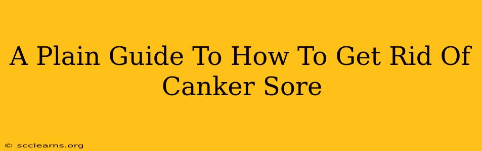 A Plain Guide To How To Get Rid Of Canker Sore