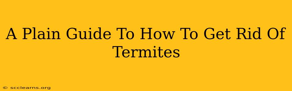 A Plain Guide To How To Get Rid Of Termites