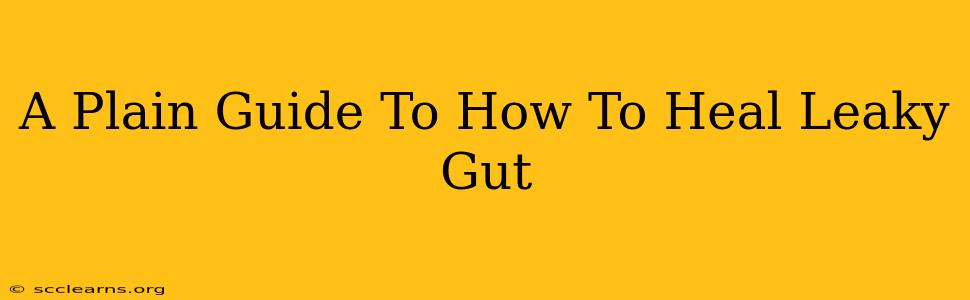 A Plain Guide To How To Heal Leaky Gut