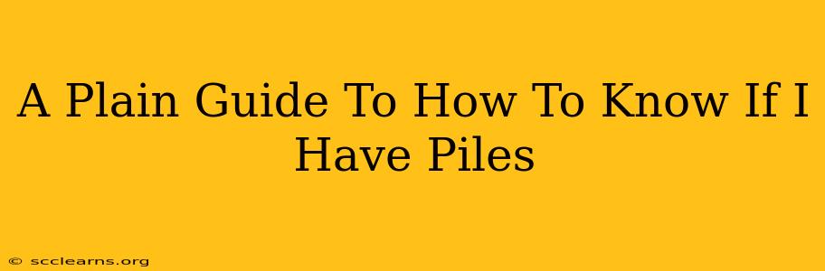 A Plain Guide To How To Know If I Have Piles