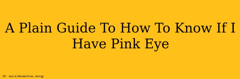 A Plain Guide To How To Know If I Have Pink Eye