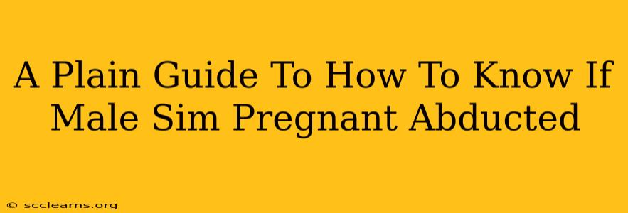 A Plain Guide To How To Know If Male Sim Pregnant Abducted