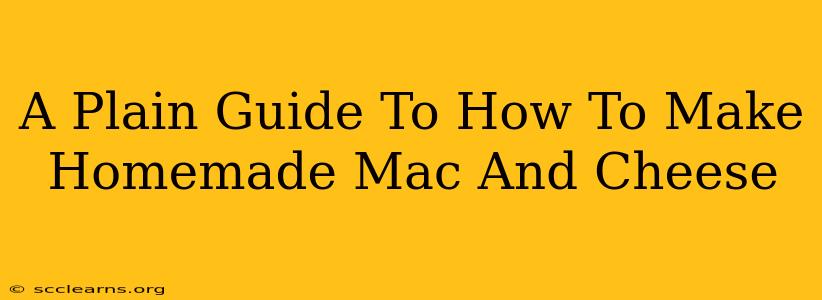 A Plain Guide To How To Make Homemade Mac And Cheese